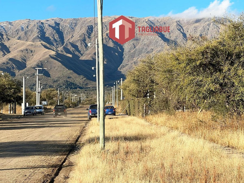 Imagen 9 de 9 de Terreno - Solares
