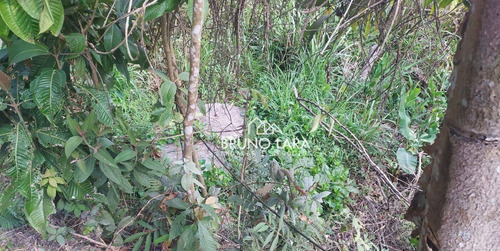 Imagem 19 de 21 de Sítio Á Venda Em Betim Bairro Charneca - Si0037