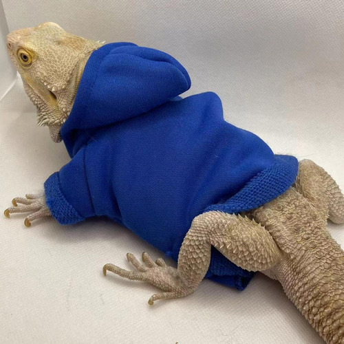 (2 #mold) Ropa Para Dragones Barbudos, Geckos, Reptiles, Rop