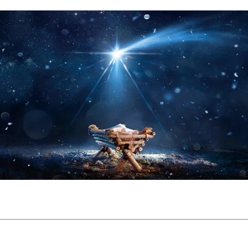 Telón De Fondo Fotográfico Dorcev El Nacimiento De Cristo, V