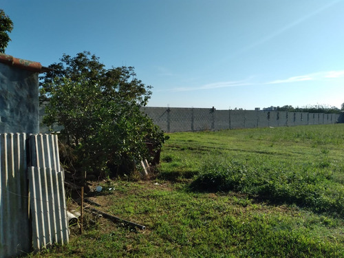 Imagen 2 de 6 de Lote Terreno Campo 1 Hectárea En Garín, Posibilidad 20 Lotes