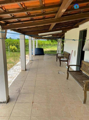 Imagem 5 de 30 de Granja Com 13 Hectares E Plantação Rentabilizando - Ch0065