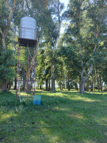Campo En Venta Sobre Ruta 6, Marcos Paz