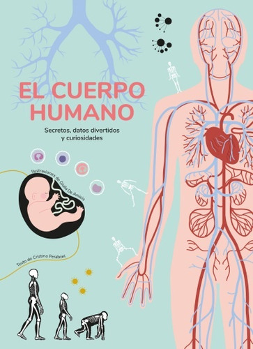 El Cuerpo Humano. Secretos, Datos Divertidos Y Curiosidades 