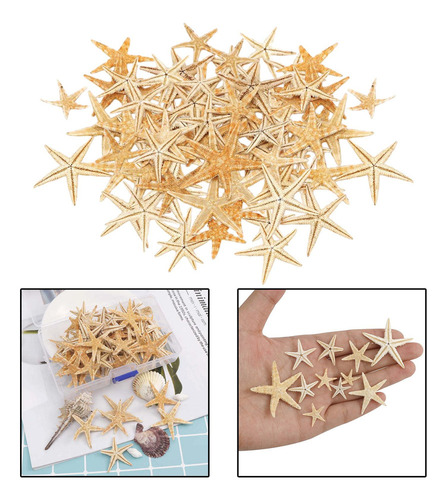 2 Pequeña Natural Para 1-5cm 100 Piezas