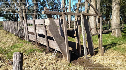 Campo En Venta De 77 Has En Saladillo - Agricola Ganadero