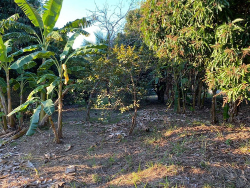 Imagem 8 de 14 de Terreno - Te00022 - 68225325