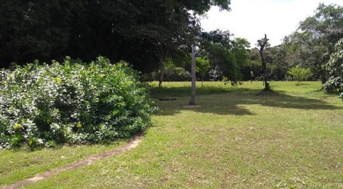 Imagen 22 de 30 de Vendo Hacienda De 990 Hectáreas En Puerto Gaitán En El Meta