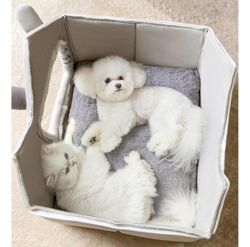 . Perros Gatos Suministros Para Mascotas Cueva