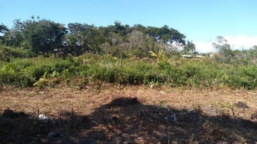 Imagem 5 de 7 de Terreno Com 137 M², Em Itanhaém. Litoral