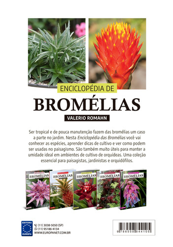 Enciclopédia de Bromélias - Volume 3, de Valerio, Romahn. Editorial Editora Europa, capa mole em português, 2022
