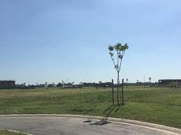 Imagen 7 de 8 de Venta Terreno Virazón