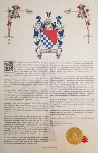 Find Your Name Here - Escudo De Armas, Escudo E Histori...