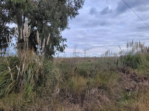 Campo En Venta Canning 51 Hectareas