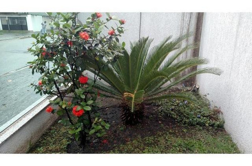 Imagem 2 de 11 de Apartamento Para Venda No Residencial Ônix No Flamboyant - 7122