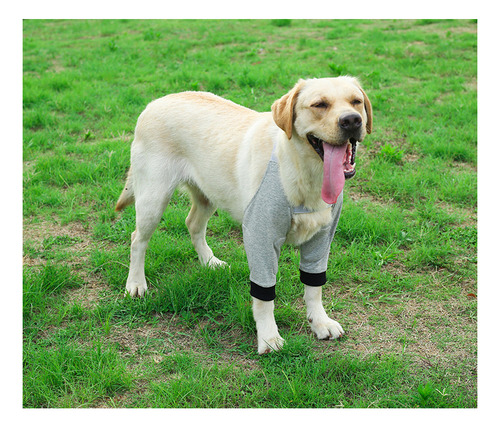 Rodilleras For Mascotas Coderas For Perros Espinilleras