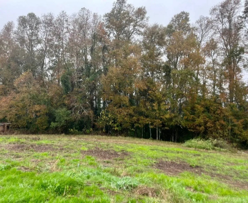 Parcela 5.000m2 | Sector Puquereo | Eje Freire-villarrica