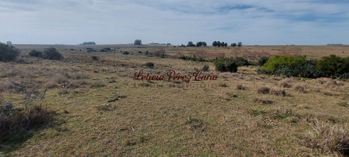 Imagen 12 de 23 de Venta De Chacra 19 Has En San Carlos, Maldonado