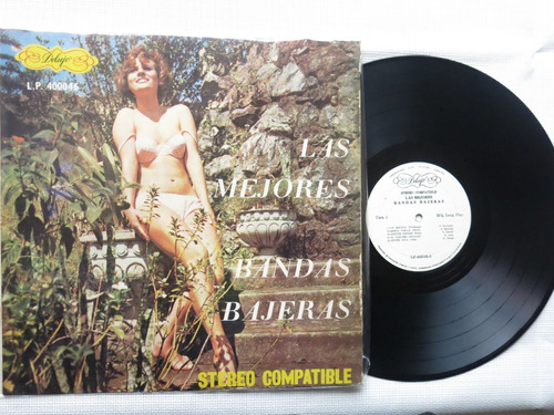 Vinyl Vinilo Lp Acetato Las Mejores Bandas Bajeras Tropical