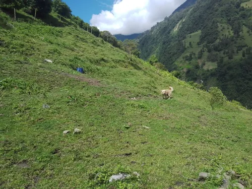 Finca Via Juntas - Ibagué