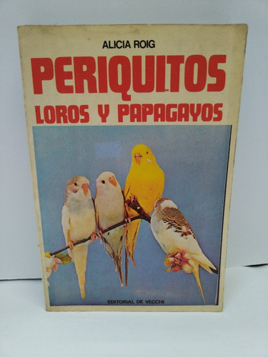 Periquitos Loros Y Papagayos