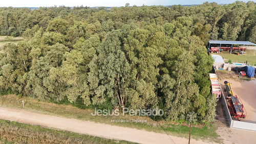 En Venta Terreno Zona Termas Tapalque