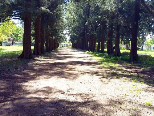 Imagen 4 de 7 de Lote En Garín En Pesos