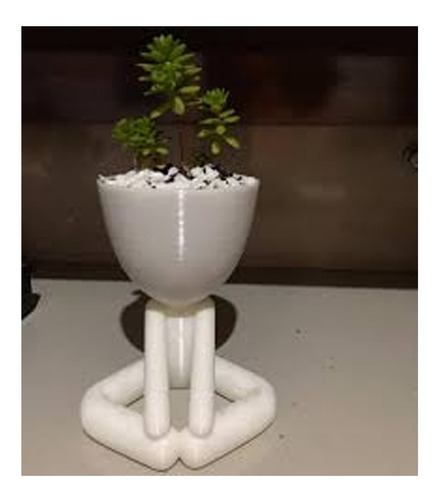 Imagen 2 de 5 de Set Maceta Cactus Suculentas Muñeco Robert Plant Pack X3