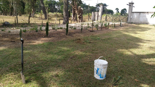 Campo En Venta Provincia De Buenos Aires Ruta 226