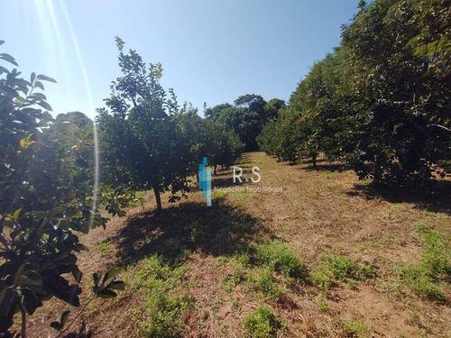 Sítio À Venda, 40000 M² Por R$ 2.000.000,00 - Engenho Seco - Louveira/sp - Si0009