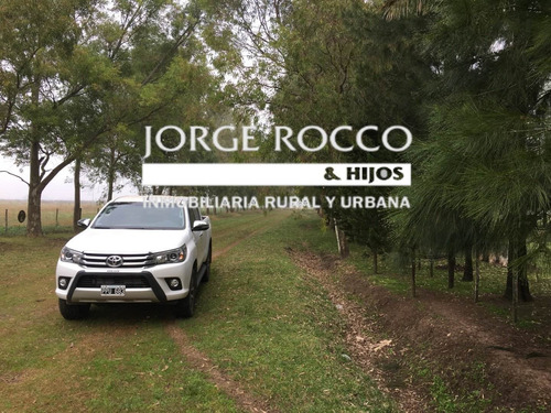 Imagen 9 de 16 de 400 Has. Campo Ganadero - San Vicente -