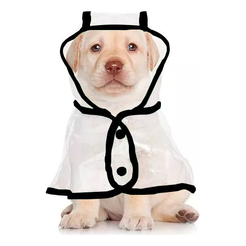 Capa De Lluvia Para Perro Impermeable Transparente Tgo