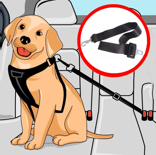 Cinto De Segurança Para Pet Cães E Gatos Cachorro Animal Domestico Transporte  Seguranca Para Veículos Otima Qualidade | MercadoLivre
