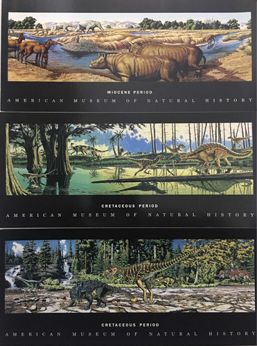 3 Postales Robert Barber 1994, Períodos Mioceno-cretáceo