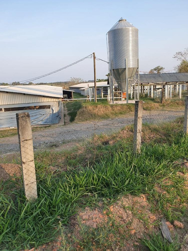 Imagem 3 de 27 de Excelente Sitio A Venda Em Pereiras - 531