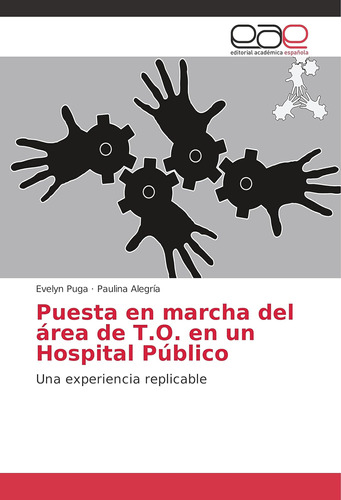 Libro: Puesta En Marcha Del Área De T.o. En Un Hospital Públ