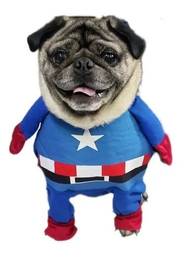 Botarga Para Mascotas - Capitán América 