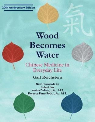 Wood Becomes Water - Gail Reichstein (paperback)