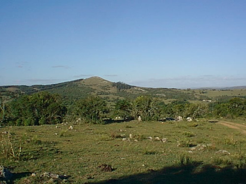 Imagen 3 de 6 de 330 Has Ganaderas En Lavalleja, Molles De Aiguá.