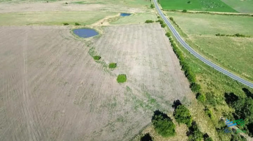 150 Has Campo Agrícola Ganadero A Tan Solo 10 Kms De Florida (bajo De Precio) !