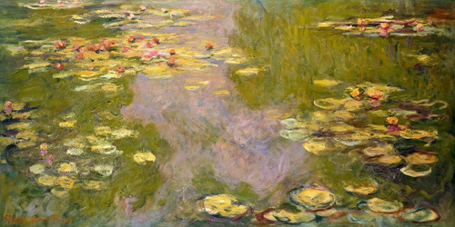 Lienzo Tela Claude Monet Lirios De Agua  70x140cm