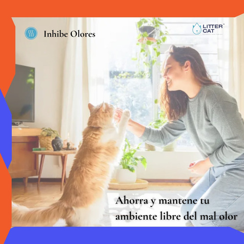 Arena Sanitaria Para Gatos Gatitos Litter Cat Aglutinantes