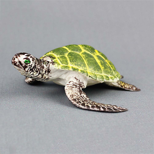 Decoración De Organismos Marinos Modelo Animal De Tortuga Ma