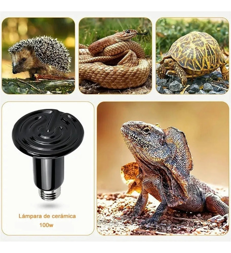 Y 2 Lámpara Calefactora Cerámica 110v 100w Reptiles Y Aves