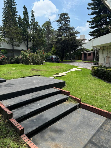 Magnifico Terreno