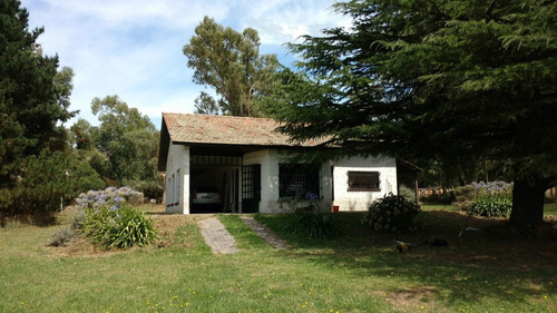 Imagen 2 de 26 de Excelente Casaquinta - Piscina - 6.300 M2 De Lote