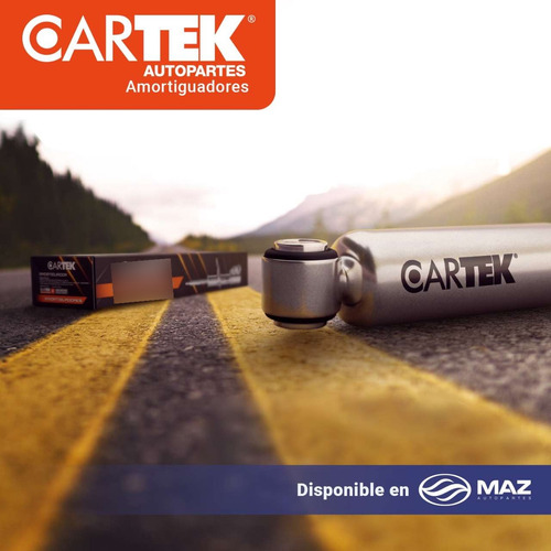 2 Amortiguadores Direccion Del Dg Ram 2500 1994-1995 4wd Ctk
