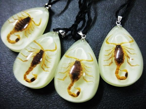Collar Escorpión Oro Brilla En La Oscuridad Hombre Y Mujer