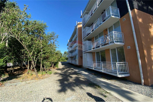 Arriendo Departamento En Pucón