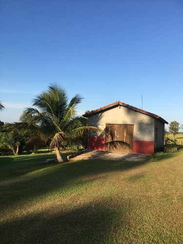 Imagem 6 de 25 de Chácara 36000m2, Casa Sede, Casa Caseiro, Lago, Barracao, Poço Artesiano, Nascente, Pomar, Piscina, Campo De Futebol, Boa Parte Formado Em Pasto - Ch00133 - 70014476
